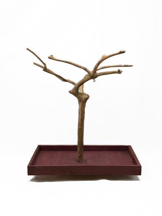Natural Java Coffee Tree play stand for small to medium birds, featuring a sturdy 25-inch tall wooden design with a wide base.