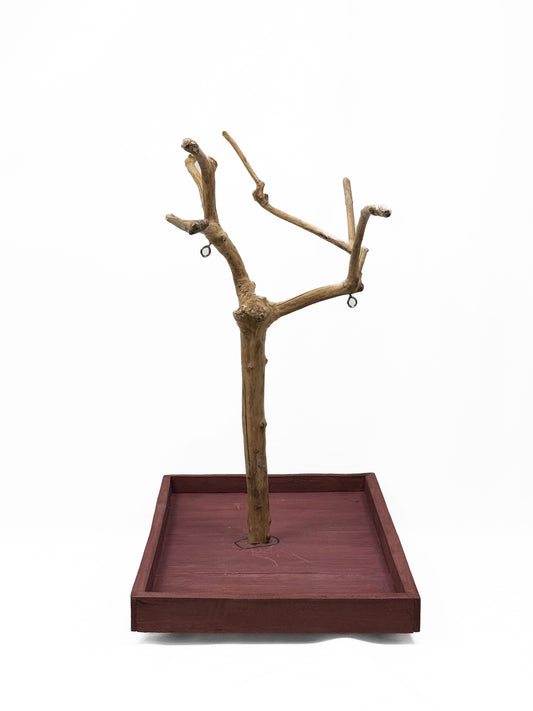 Natural Java Coffee Tree play stand for small to medium birds, showcasing a sturdy 25-inch tall, eco-friendly design.
