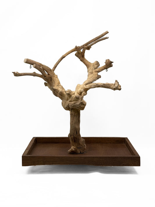 Natural Java Coffee Tree play stand for small to medium birds, featuring a sturdy 25-inch tall wooden design with a wide base.