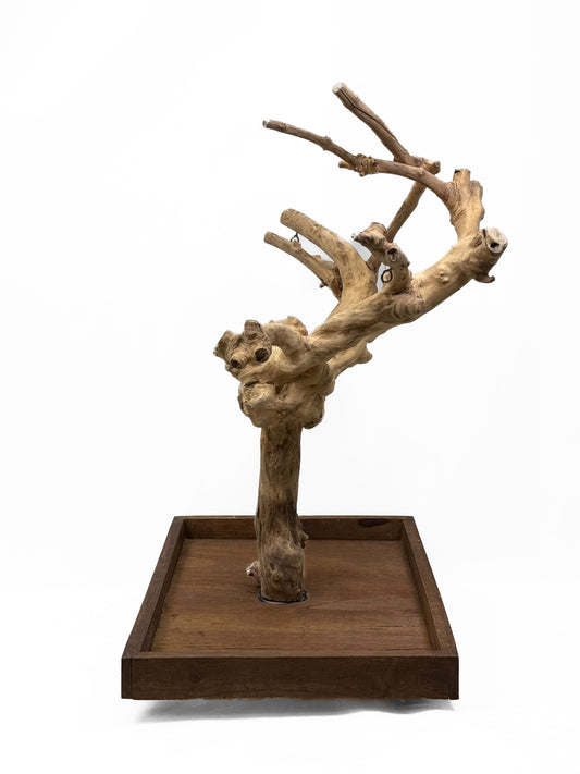 Natural Java Tree play stand for small to medium birds, featuring a rugged wooden base and twisting, gnarled branches.