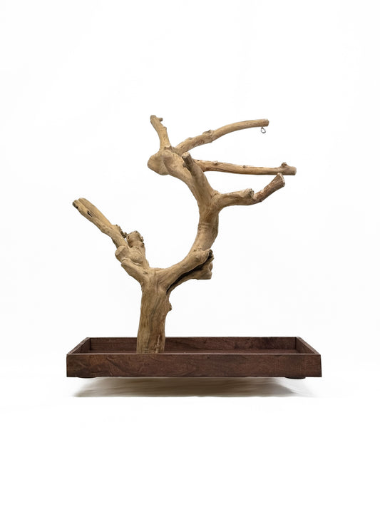 Natural Java Tree play stand for small to medium birds, featuring a sturdy wooden base and twisting, eco-friendly branches.