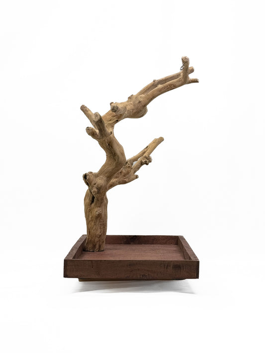 Natural Java Tree play stand for small to medium birds, showcasing a sturdy 25-inch tall wooden design with a wide base.