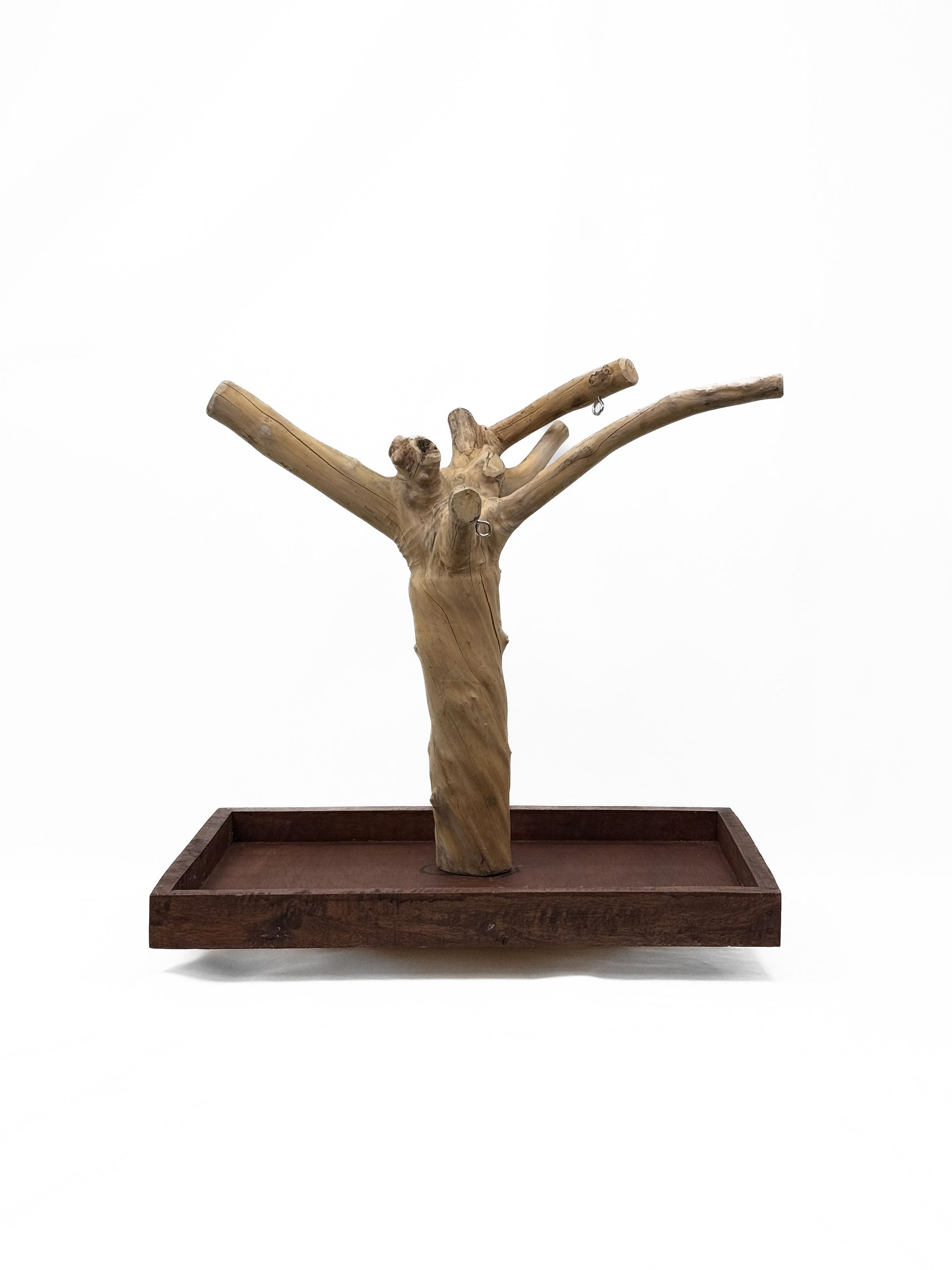 Natural Java Coffee Tree play stand for small to medium birds, featuring a sturdy 25-inch tall wooden design with a wide base.