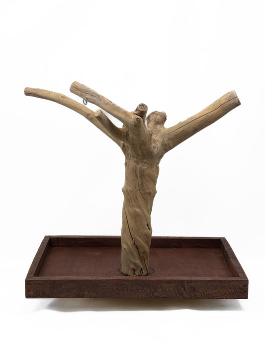 Vibrant tabletop Java Tree play stand made from a natural, eco-friendly coffee tree, perfect for small to medium birds.