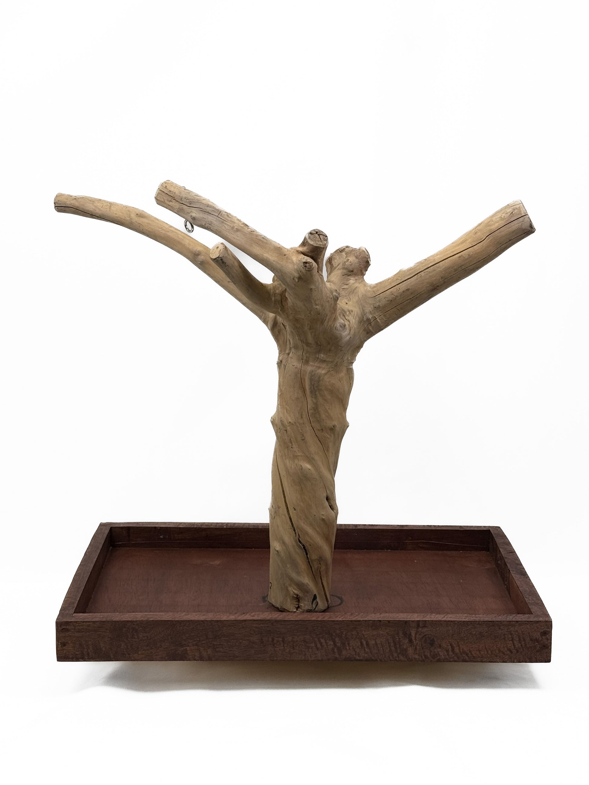 Vibrant tabletop Java Tree play stand made from a natural, eco-friendly coffee tree, perfect for small to medium birds.