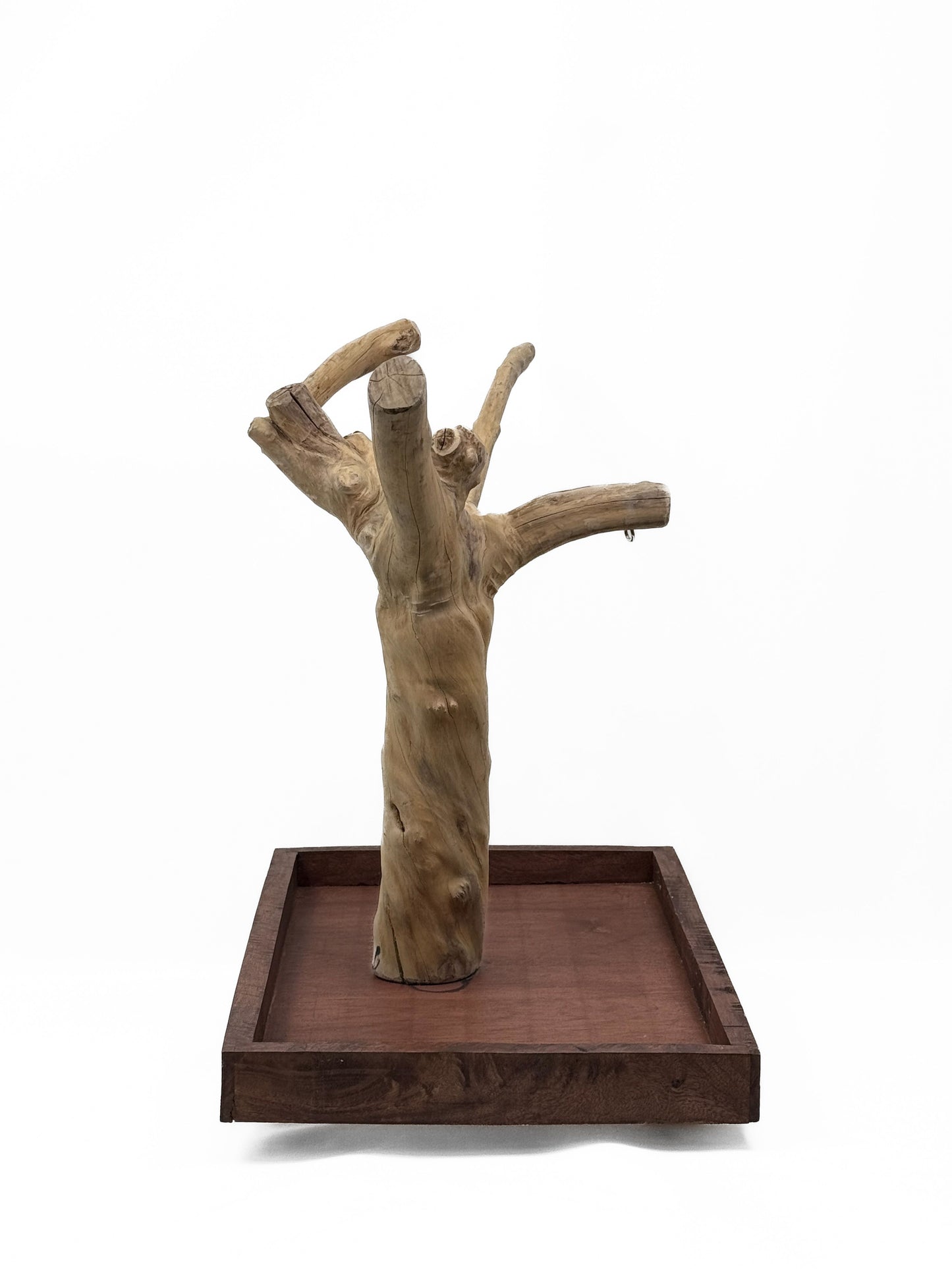 Natural Java Coffee Tree play stand for small to medium birds, featuring a sturdy 25-inch tall wooden design with a wide base.