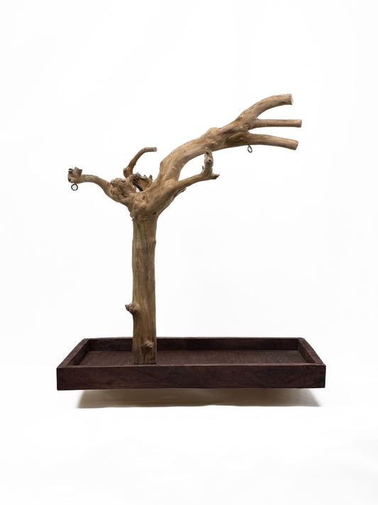 Natural Java Coffee Tree play stand for small to medium birds, featuring a sturdy 25-inch tall wooden design with a wide base.