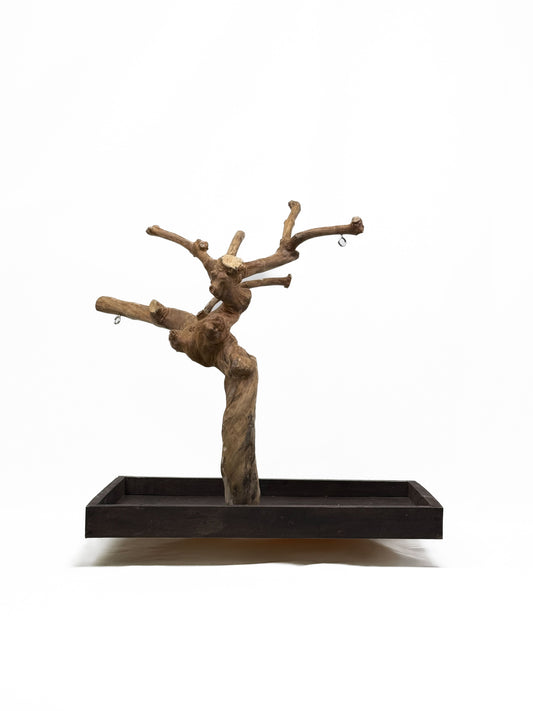 Natural Java Tree play stand for small to medium birds, showcasing a rugged, eco-friendly wooden design on a sturdy base.
