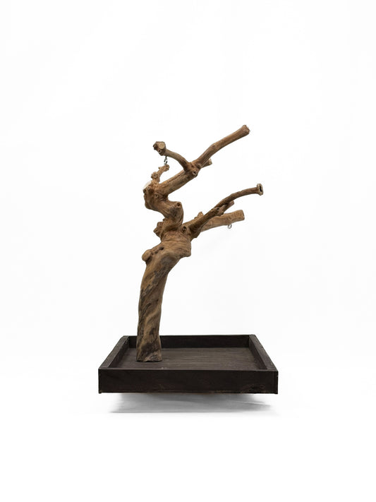 Natural Java wood play stand for small to medium birds, featuring a sturdy 25-inch tall tree design on a wide base.