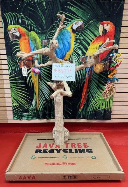 Natural Java Tree Bird Stand with anti-slip perch, toy hooks, and steel bowls, ideal for medium to large exotic birds.