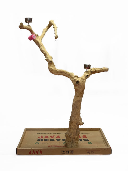 Natural Java Tree Bird Stand with anti-slip perch, toy hooks, and stainless steel bowls, ideal for medium to large birds.