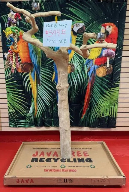 Java Tree Bird Stand – MyBirdStore.com