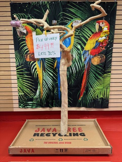 Natural Java Tree Bird Stand with anti-slip perch, toy hooks, and stainless steel bowls, ideal for medium to large birds.