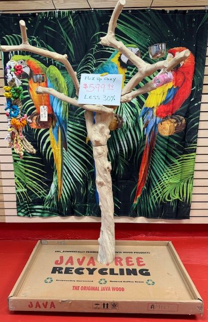 Java Trees - MyBirdStore.com