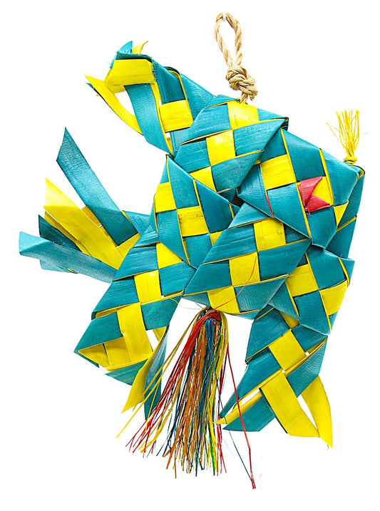 Vibrant Angel Fish Lg swimming gracefully with its striking fins and shimmering scales in a clear aquatic setting.