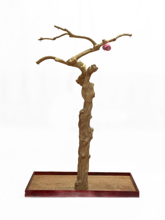 Natural Java Tree Bird Stand with anti-slip perch, toy hooks, and stainless steel bowls, perfect for large parrots.