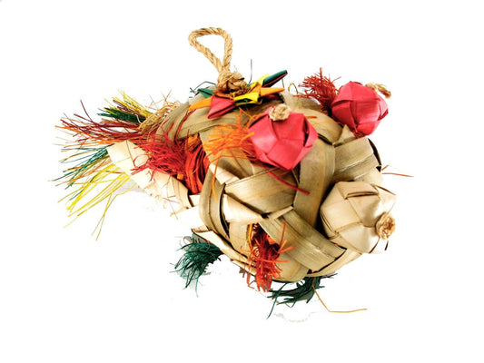 Stylish Blowfish Lg sneakers in a bold design, featuring a comfortable fit and vibrant color accents for everyday wear.