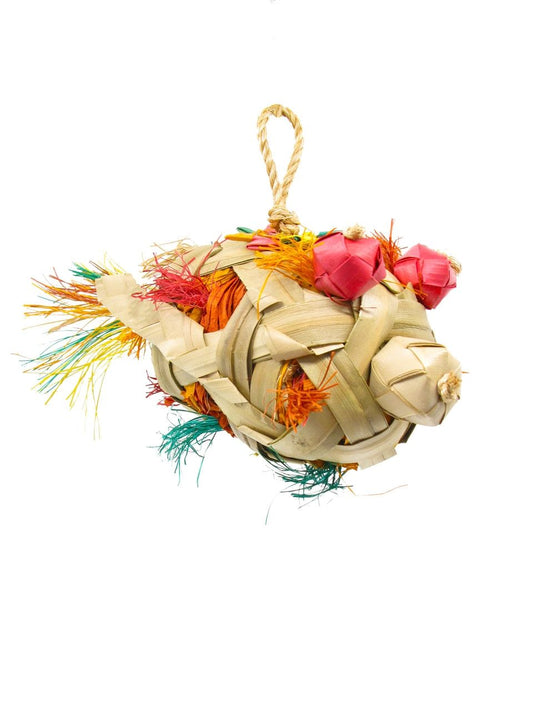 Vibrant Blowfish Med sneakers with a bold design, featuring striking colors and a comfortable, cushioned sole.