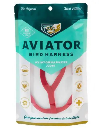 Vibrant medium Aviator harness with flight leash, perfect for eclectus and macaws, designed for secure bird outings.