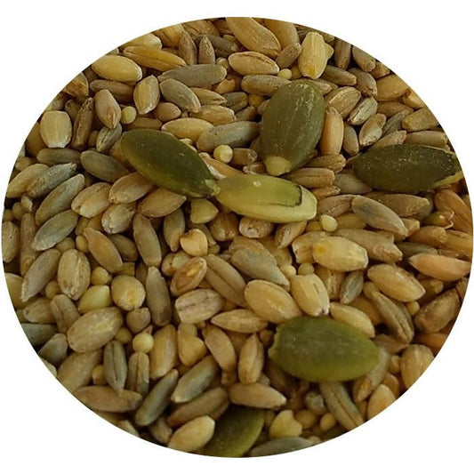 Vibrant mix of TOP's All-in-One Seed Mix for parrots, showcasing a colorful blend of organic seeds and grains for a natural, nutritious treat.