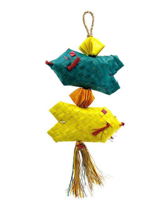 Vibrant small tropical fish with colorful scales swimming gracefully in a clear aquarium setting.