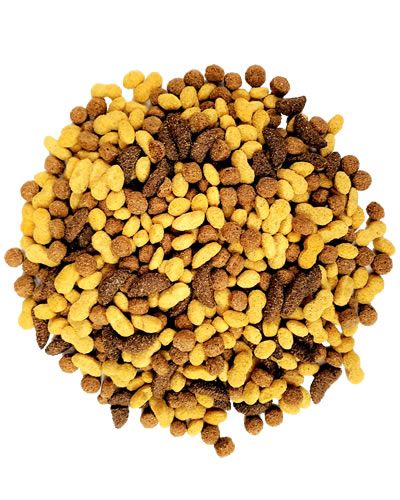Vibrant Zupreem NutBlend 3.25lb bag, featuring colorful pellets with natural nut flavor for medium to large parrots.