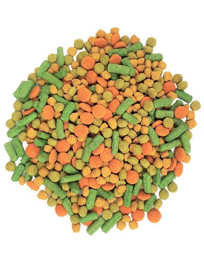 Vibrant Zupreem VeggieBlend 3.25lb bird food with colorful, veggie-shaped pellets, perfect for medium to large parrots.