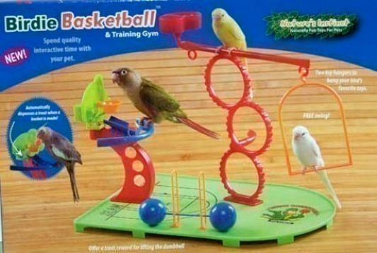 Vibrant Birdie Basketball Gym with a hoop, agility rings, and weights for small to medium birds to play and exercise.
