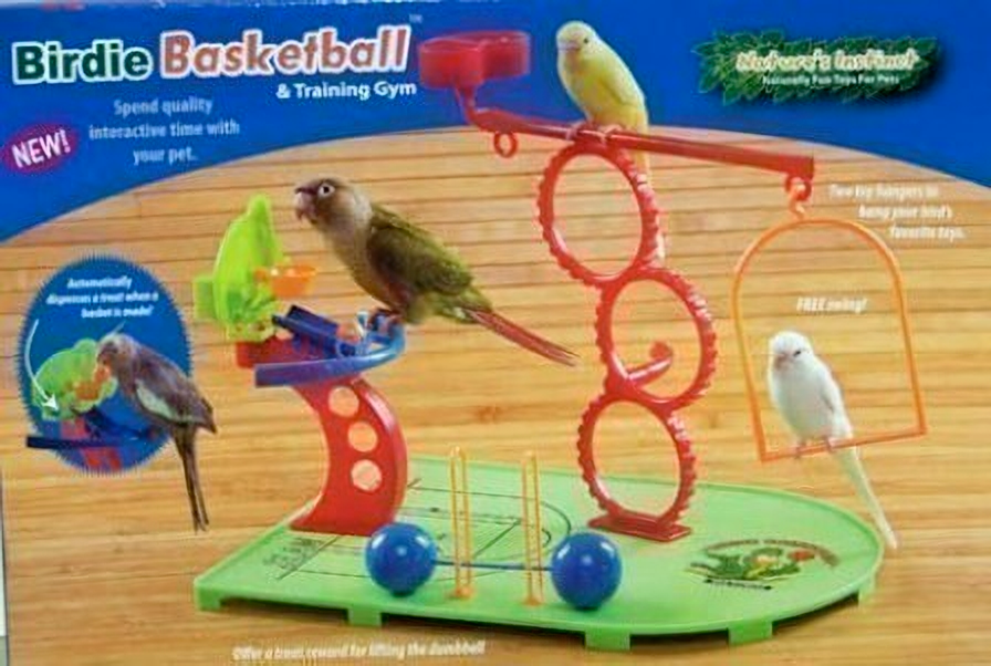 Vibrant Birdie Basketball Gym with a hoop, agility rings, and weights for small to medium birds to play and exercise.
