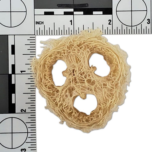 Six natural loofahs in a pack, perfect for stuffing with treats or toy parts, showcasing their unique, textured openings.