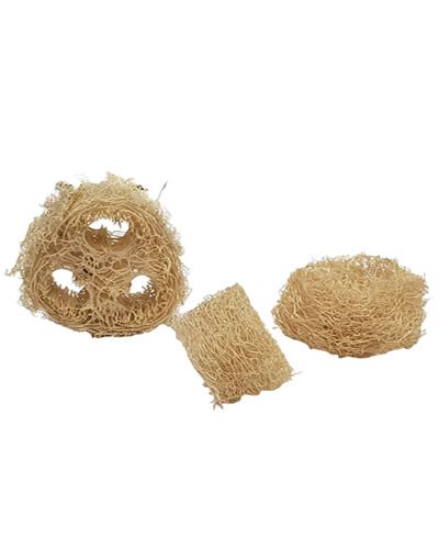 Close-up of a 6-pack of "Stuffin' Loofah" bird toys, showcasing natural, textured loofahs perfect for stuffing treats.