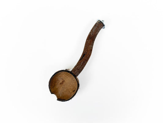 Natural coconut half cup with a wooden perch, ideal for small pets like sugar gliders and birds, attached to a cage.