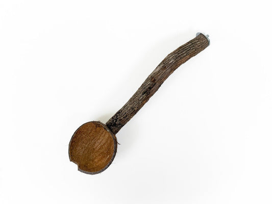 Natural coconut half cup with a sturdy wooden perch, ideal for small pets like birds and sugar gliders, attached to a cage.