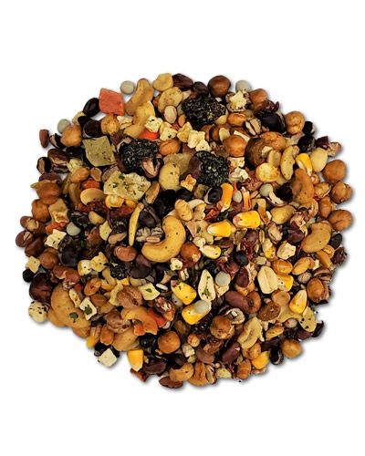 Vibrant mix of Primo Bean blend with colorful beans, nuts, fruits, and veggies for a nutritious bird food feast.