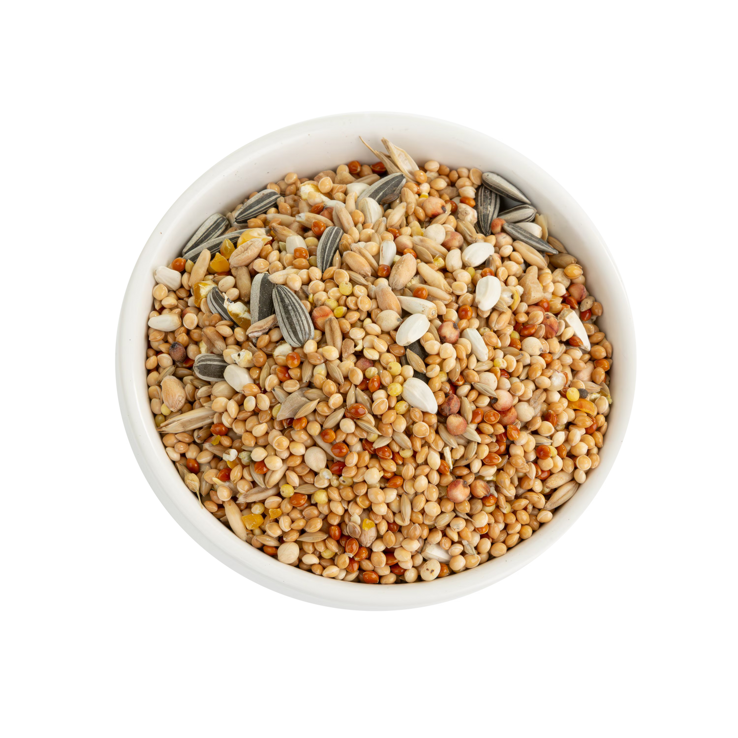 Complete Food for Medium Birds 4LB - Primal Line
