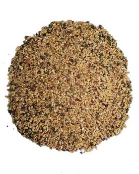 Vibrant mix of Napolean Blend bird food per lb, bursting with colorful seeds, bee pollen, and nutritious carrot granules.