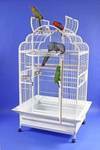 Click here to go to "VICTORIAN CAGES"
