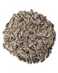 Grey Striped Sunflower Seed Per Lb