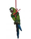 Hahn's Macaw Ornament - Bird Merch
