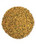 Lifetime Parrot Granules Per Lb - Hari