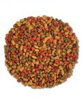 InTune Tiel/Conure Pellets Per Lb -Higgins 