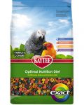 20lb Parrot/Conure Exact Rainbow-Kaytee