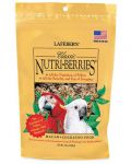 10oz Macaw Classic Nutri-Berries-Lafeber's 