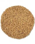 Oat Groats Per Lb