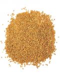 20lb Siberian Millet - Bulk Ingredients