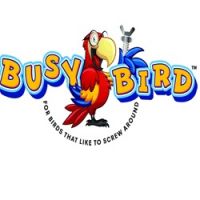 BUSY BIRD