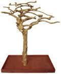 Click here to go to "Bird Paradise Java Trees"