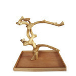 Click here to go to "Tabletop Java Trees"