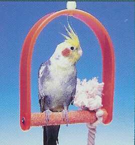 Md Swing w/ Pedicure Perch-Penn Plax 