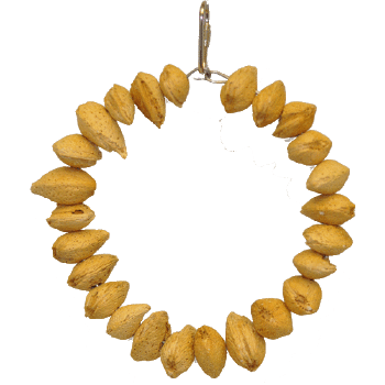 Happy Beaks Almond Ring-Happy Beaks Made In USA